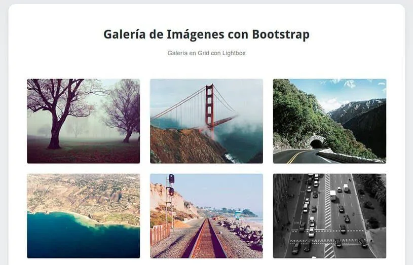 Galería de imágenes