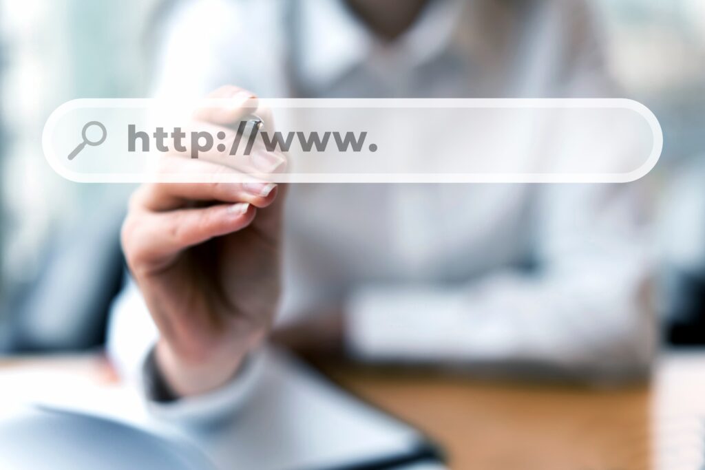 Dominio web
